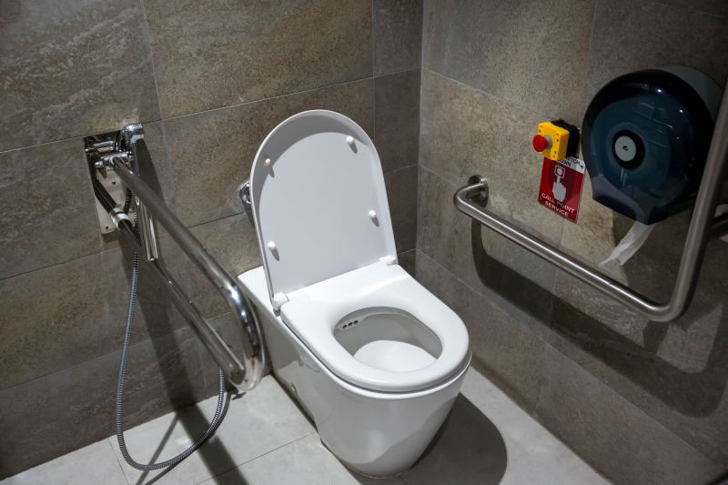 Accessible Toilet Installation